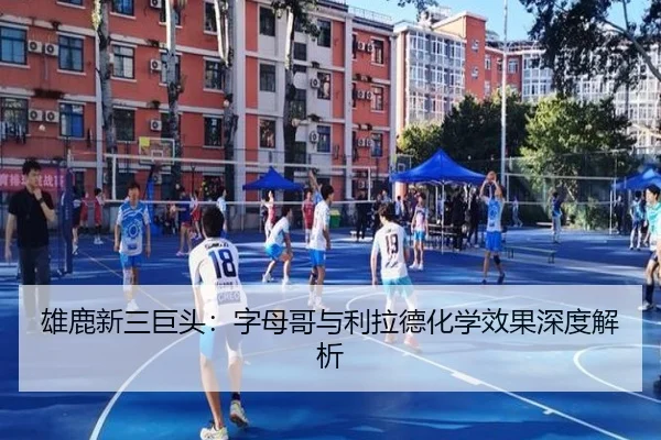 雄鹿新三巨头：字母哥与利拉德化学效果深度解析